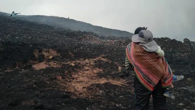 Reportan incendio forestal en Orurillo tras tormenta eléctrica 8 Reportan incendio forestal en Orurillo tras tormenta electrica 1