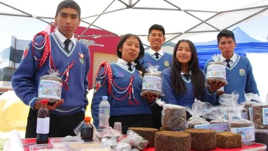 IESA Quishuara de Macari logra Clasificación a la Etapa Nacional en Crea y Emprende 2 IESA Quishuara de Macari logra Clasificacion a la etapa Nacional en Crea y Emprende